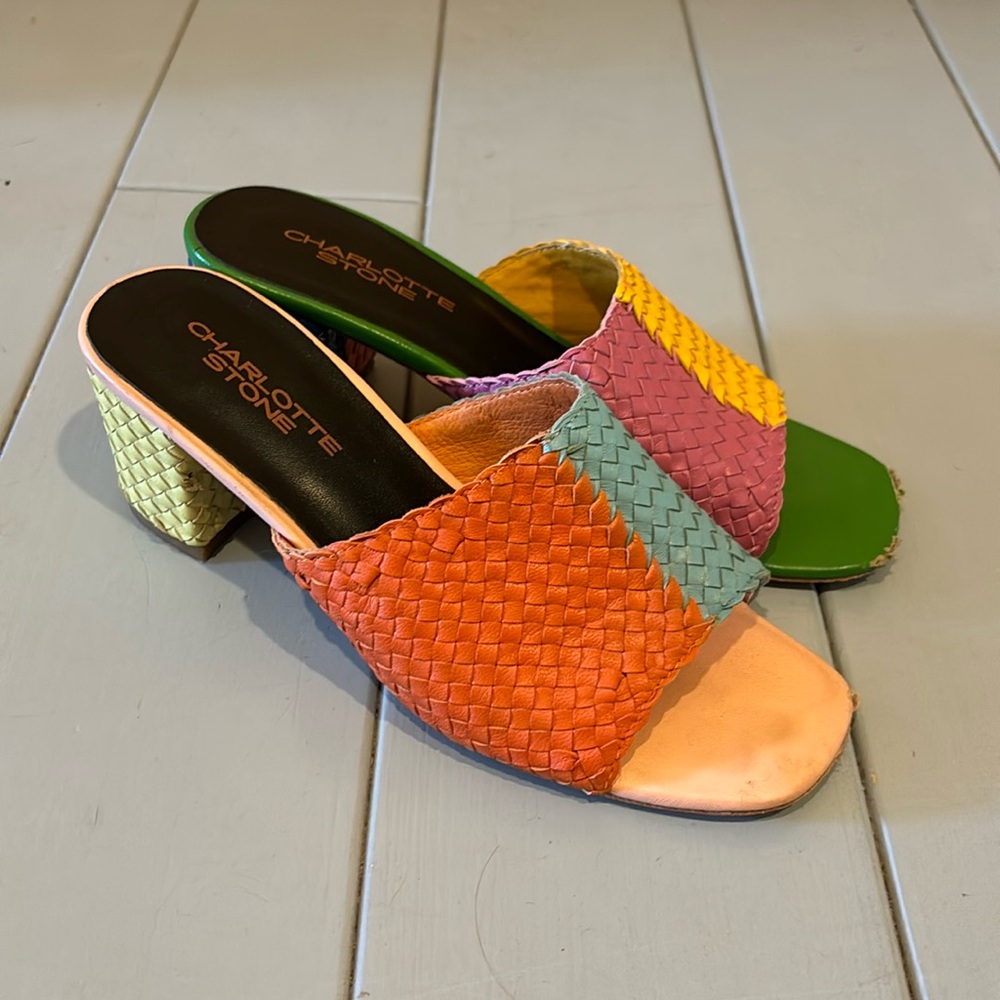 Charlotte Stone multi color adorable mules!
